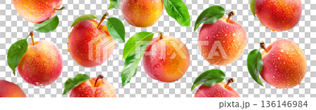 Juicy red-yellow plums and nectarines with dew drops and green leaves, isolated on white background, freshness and summer fruit 136146984