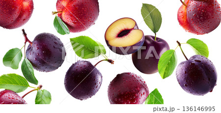 Juicy red and purple plums with green leaves and water droplets on white background, concept of freshness and healthy food Juicy red and purple plums with green leaves and water droplets on white background, concept of freshness and healthy food 136146995