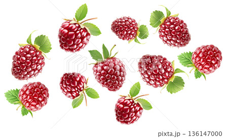 Shiny ripe loganberries or raspberry with vibrant green leaves, on white background. Concept of freshness and healthy food Shiny ripe loganberries or raspberry with vibrant green leaves, on white background. Concept of freshness and healthy food 136147000