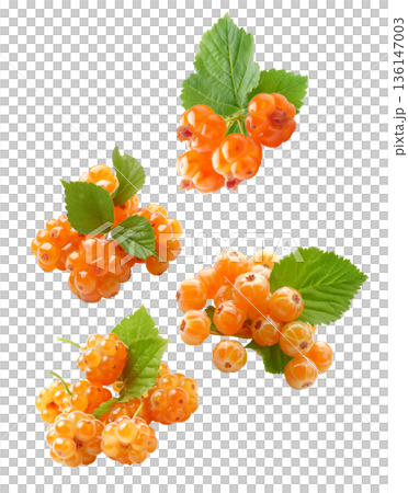 Multiple ripe orange cloudberry clusters with green leaves scattered and isolated on white background, fresh fruit harvest concept 136147003