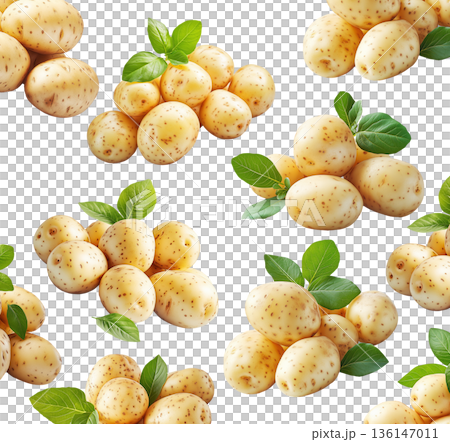 Multiple clusters of fresh raw potatoes with green leaves isolated on a white background, organic food and harvest concept Multiple clusters of fresh raw potatoes with green leaves isolated on a white background, organic food and harvest concept 136147011