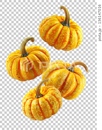 Set of vibrant orange decorative pumpkins with textured skin and water droplets on white background, concept of autumn harvest 136147016