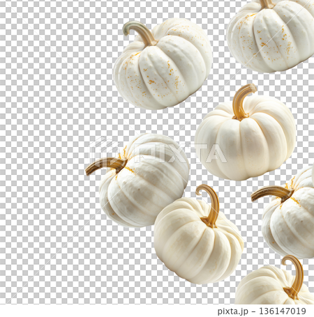 White mini pumpkins with natural stems and speckles, in a scattered layout isolated on white background. 136147019