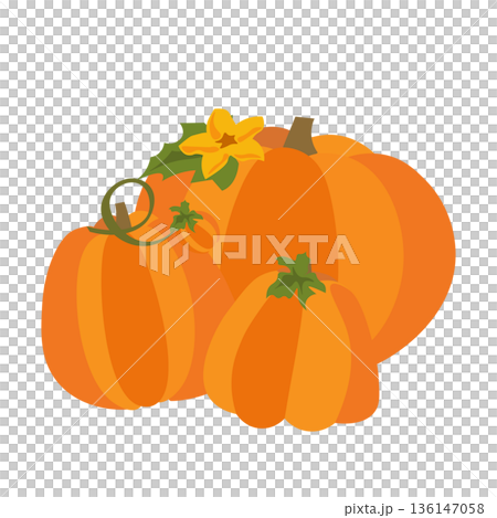 シンプルで可愛いかぼちゃのイラスト 136147058