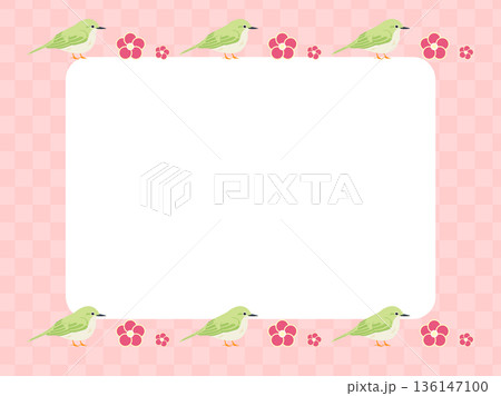 ピンク色の和柄の背景と梅の花とめじろ ピンク色の和柄の背景と梅の花とめじろ 136147100