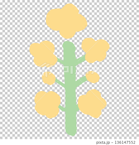 4月の園だよりに使いやすい シンプル手描きイラストカットシリーズ｜菜の花 136147552