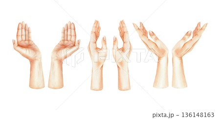 Watercolor set of elegant female paired hands in different poses. Hand drawn graceful gestures illustration. Collection of delicate women palms. High-quality isolated elements for your design 136148163