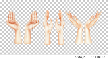 Watercolor set of elegant female paired hands in different poses. Hand drawn graceful gestures illustration. Collection of delicate women palms. High-quality isolated elements for your design 136148163