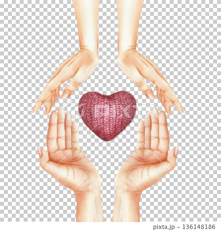 Knitted cozy heart between human palms. Symbol of love made of red yarn in women hands. Isolated illustration about charity and kindness. Watercolor hand-painted art on transparent background 136148186