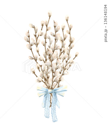 Bouquet of willow branches tied blue bow, lace ribbon. Easter spring flowers with fluffy bud on twigs. Traditional symbol of religious bright holiday. Hand drawn watercolor Isolated illustration Bouquet of willow branches tied blue bow, lace ribbon. Easter spring flowers with fluffy bud on twigs. Traditional symbol of religious bright holiday. Hand drawn watercolor Isolated illustration 136148194