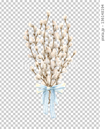 Bouquet of willow branches tied blue bow, lace ribbon. Easter spring flowers with fluffy bud on twigs. Traditional symbol of religious bright holiday. Hand drawn watercolor Isolated illustration Bouquet of willow branches tied blue bow, lace ribbon. Easter spring flowers with fluffy bud on twigs. Traditional symbol of religious bright holiday. Hand drawn watercolor Isolated illustration 136148194