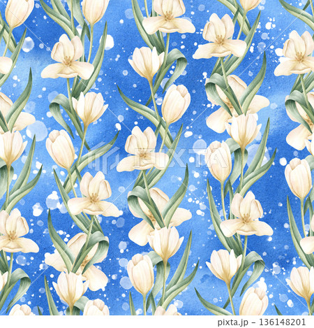 Watercolor tulip seamless pattern on blue background. White flowers and leaves. Spring garden botanical illustration. Delicate floral ornament for packaging, wallpaper, textile, wrapping paper 136148201