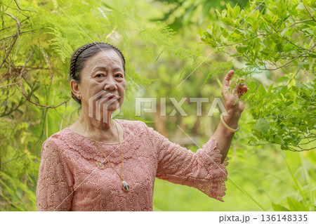 senior woman in the garden senior woman in the garden 136148335