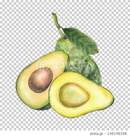 Avocado fruit Watercolor realistic hand drawn illustrations whole ripe avocado, halves cut vegetables with seed, stem and leaves. Isolated from background exotic food illustration for label, packaging Avocado fruit Watercolor realistic hand drawn illustrations whole ripe avocado, halves cut vegetables with seed, stem and leaves. Isolated from background exotic food illustration for label, packaging 136148398