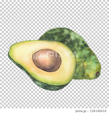 Avocado fruit watercolor painted on isolated white background. Whole and cut green fruit half with seed. Illustration for healthy food lifestyle concepts, packaging, menus, farm product label branding Avocado fruit watercolor painted on isolated white background. Whole and cut green fruit half with seed. Illustration for healthy food lifestyle concepts, packaging, menus, farm product label branding 136148418