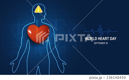 Human heart and body with red cardio line. Heart anatomy, cardiology medicine, organ health, medical science, life healthcare, cardio illness concept illustration or background for medical apps, websi 136148450