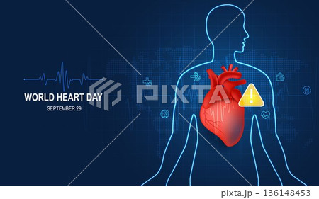 Human heart and body with red cardio line. Heart anatomy, cardiology medicine, organ health, medical science, life healthcare, cardio illness concept illustration or background for medical apps, websi 136148453