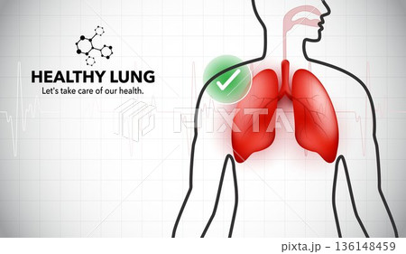 Healthy Human Lungs Infographic with Respiratory System Anatomy, Medical Background, and Green Check Mark for Healthcare, Wellness, and Disease Prevention Concept Illustration. 136148459