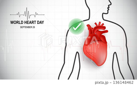 World Heart Day Concept with Human Heart Anatomy Illustration on Medical Background, Healthcare and Cardiovascular Disease Prevention Infographic with Pulse Line and Green Check Mark. World Heart Day Concept with Human Heart Anatomy Illustration on Medical Background, Healthcare and Cardiovascular Disease Prevention Infographic with Pulse Line and Green Check Mark. 136148462