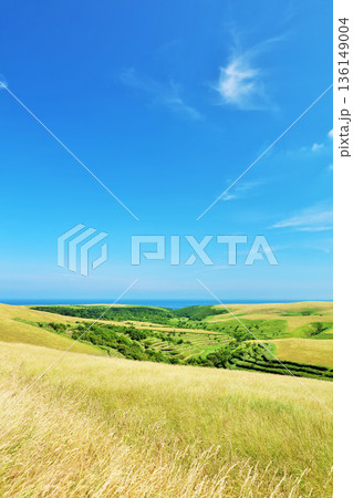 北海道　夏の青空　宗谷丘陵からの風景 136149004