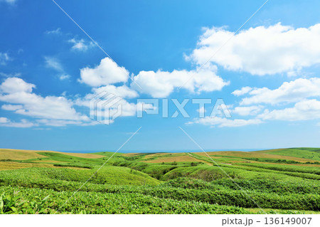 北海道　夏の青空　宗谷丘陵からの風景 136149007