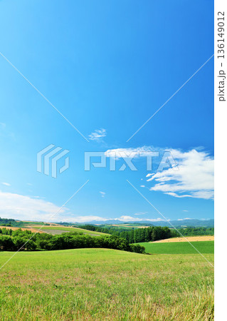 北海道　夏の青空と美瑛の風景 136149012