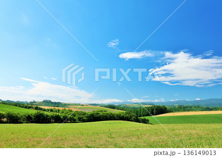 北海道　夏の青空と美瑛の風景 136149013