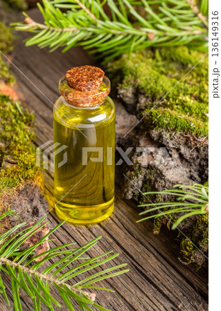 Close up one glass essential fir oil bottle surrounded by pikhta branches and moss on wooden surface Close up one glass essential fir oil bottle surrounded by pikhta branches and moss on wooden surface 136149316