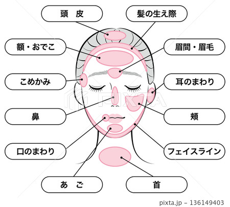 ニキビができやすい場所マップ 136149403