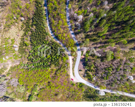 Aerial top down drone view of curve road in the forest. 136150241