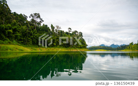 View of Khao Sok Lake in Krabi province, Thailand, with towering limestone cliffs covered in tropical rainforest rising above the calm surface of the lake. 136150439
