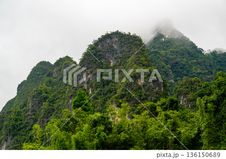 View of Khao Sok Lake in Krabi province, Thailand, with towering limestone cliffs covered in tropical rainforest rising above the calm surface of the lake. 136150689