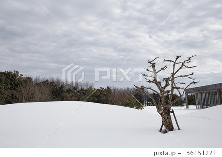 雪景色の市立美術館 136151221