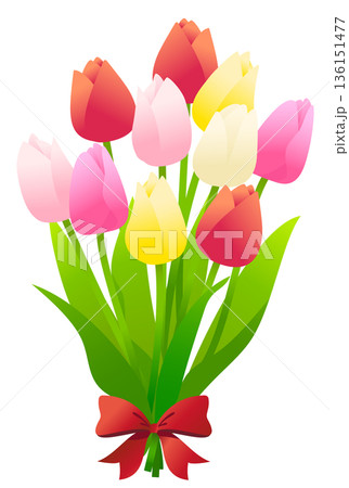 色とりどりのチューリップの花束のイラスト素材。 136151477