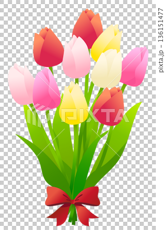 色とりどりのチューリップの花束のイラスト素材。 136151477