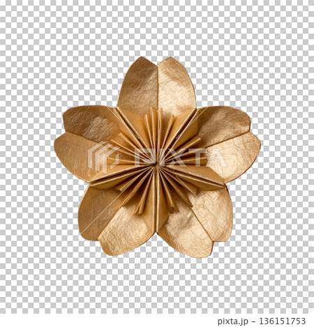 白色背景上的摺紙櫻花 136151753