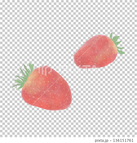 A soft, pale strawberry illustration A soft, pale strawberry illustration 136151761