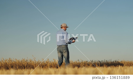 man wearing blue shirt jeans walking through field. He holding tablet hand, sustainable farming, Enhancing wheat yield with data-driven insights, Innovative farming tablet technology, Monitoring crop 136151889