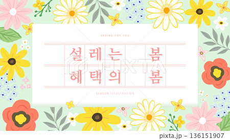 Spring template with beautiful flower. Text Translation "flutter spring, benefit spring" Spring template with beautiful flower. Text Translation "flutter spring, benefit spring" 136151907