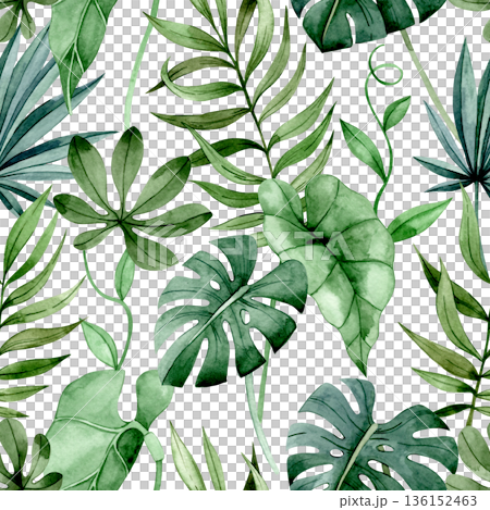 Seamless watercolor pattern with tropical palm and monstera leaves 136152463