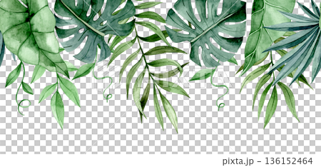 Seamless watercolor horizontal border with tropical palm and monstera leaves Seamless watercolor horizontal border with tropical palm and monstera leaves 136152464