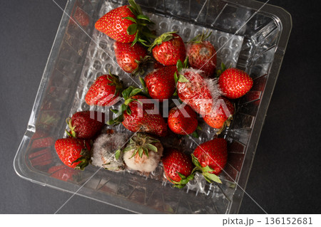 Strawberries rotting and growing mold inside a clear plastic package, illustrating concepts of spoilage, decay, and food waste 136152681
