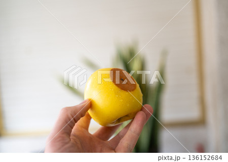 Close-up of a hand holding a yellow apple with a large brown spot, concept of rotten fruit, damaged apple, unhealthy food, organic imperfection, food waste and natural defects. Close-up of a hand holding a yellow apple with a large brown spot, concept of rotten fruit, damaged apple, unhealthy food, organic imperfection, food waste and natural defects. 136152684