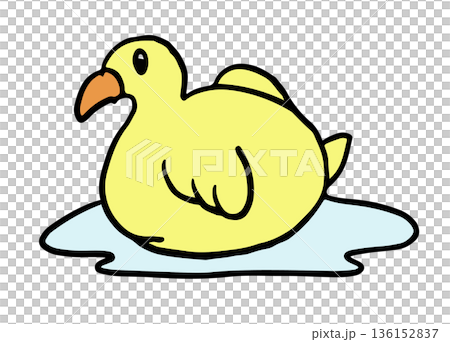 Hand drawn illustrations of duck in lake for animal, zoo, souvenir shop, cartoon character, comic, mascot, cute patch, shirt print, sticker, plush toy, kid doll, trip, travel, vacation, vet, icon 136152837