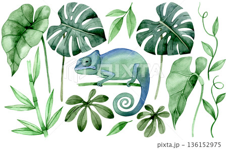 Watercolor set with tropical leaves and a chameleon lizard clip art 136152975