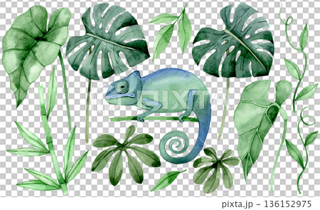 Watercolor set with tropical leaves and a chameleon lizard clip art 136152975