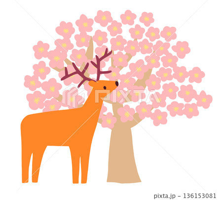 満開の桜の木と鹿 136153081
