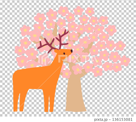 櫻花盛開，鹿群出沒。 136153081
