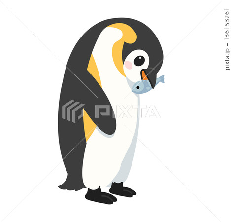 Penguin Holding a Fish Illustration 136153261