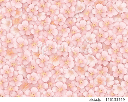 桜のシームレスパターン 136153369